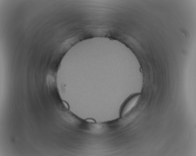 X0000113250432200910081322