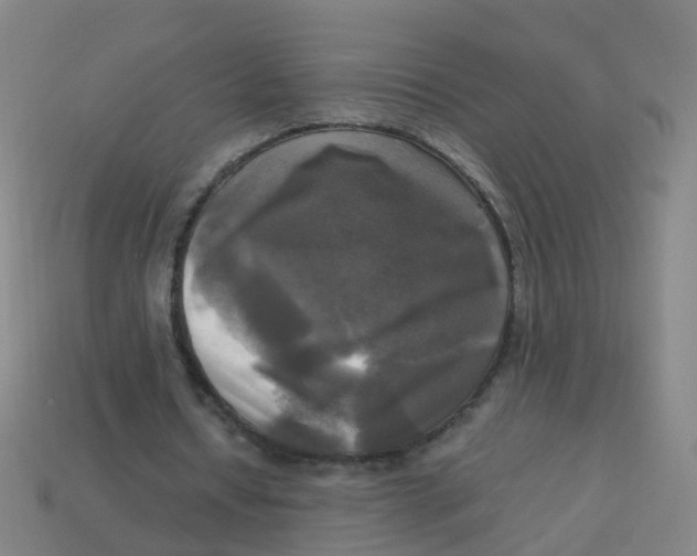 X0000113250434200910081322