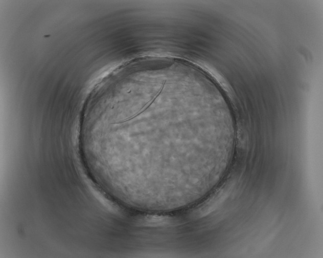 X0000113250437200910081322