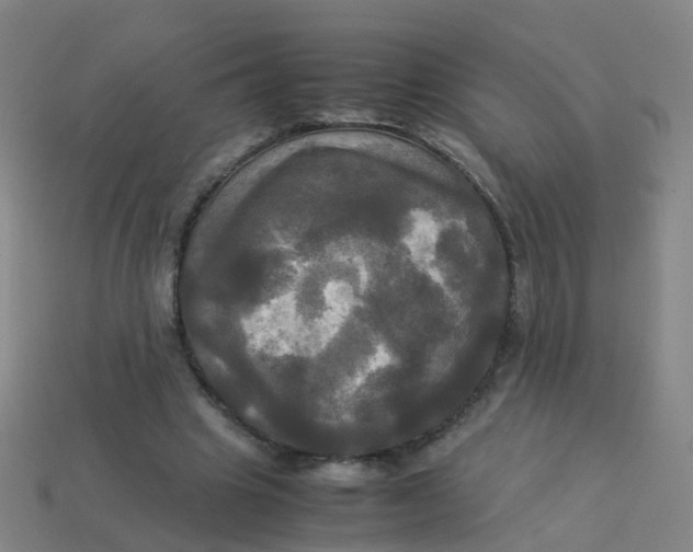 X0000113250441200910081322