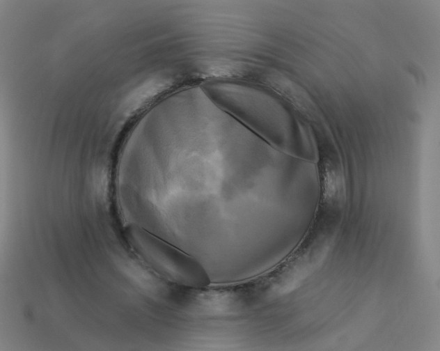 X0000113250444200910081322