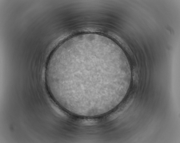 X0000113250445200910081322