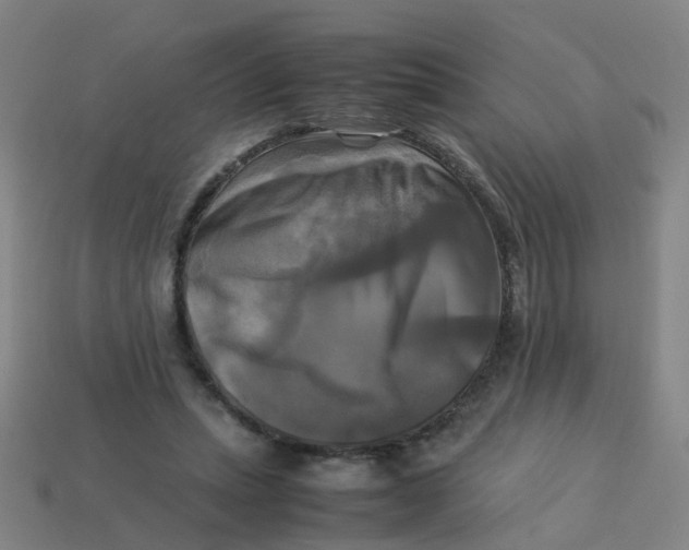 X0000113250447200910081322