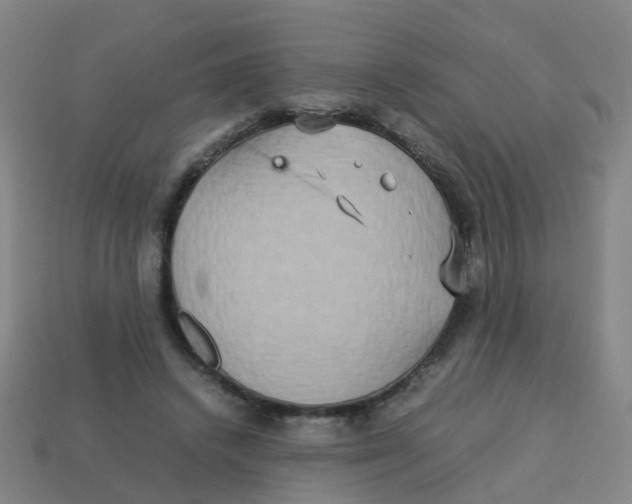 X0000113250448200910081322