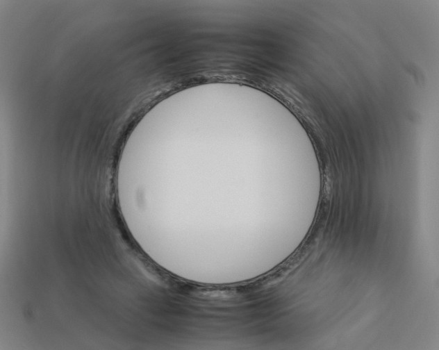 X0000113250449200910081322