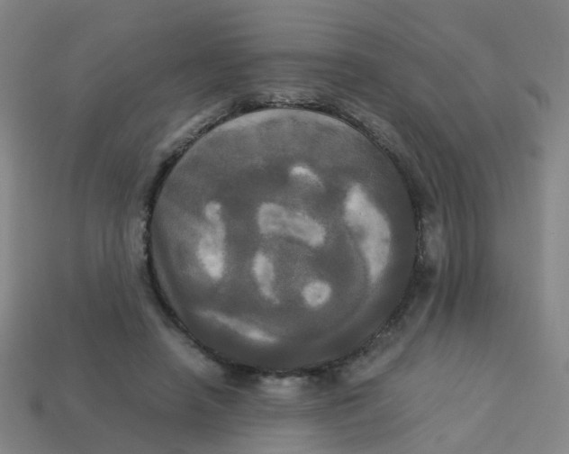 X0000113250450200910081322