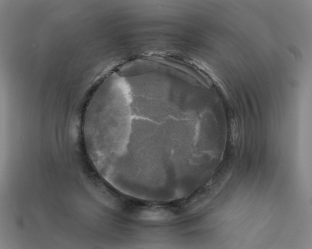 X0000113250451200910081322