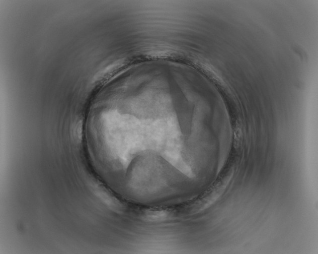 X0000113250454200910081322