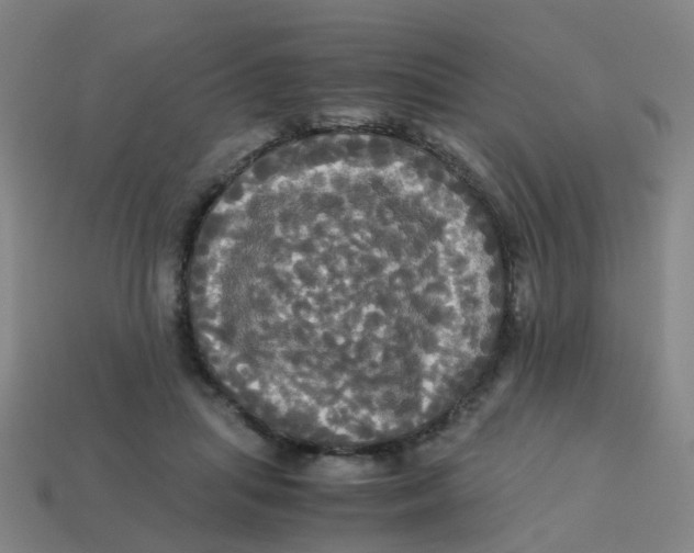 X0000113250455200910081322