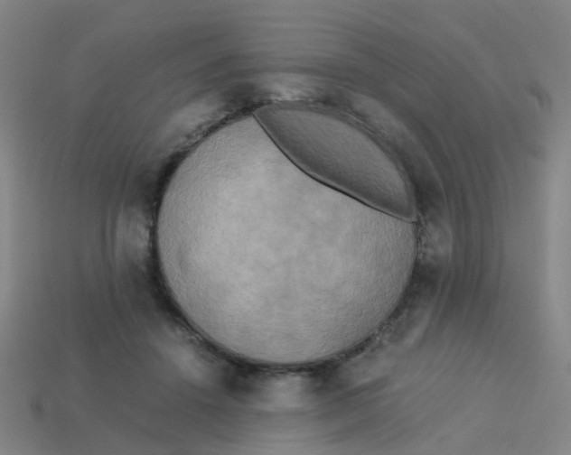 X0000113250456200910081322