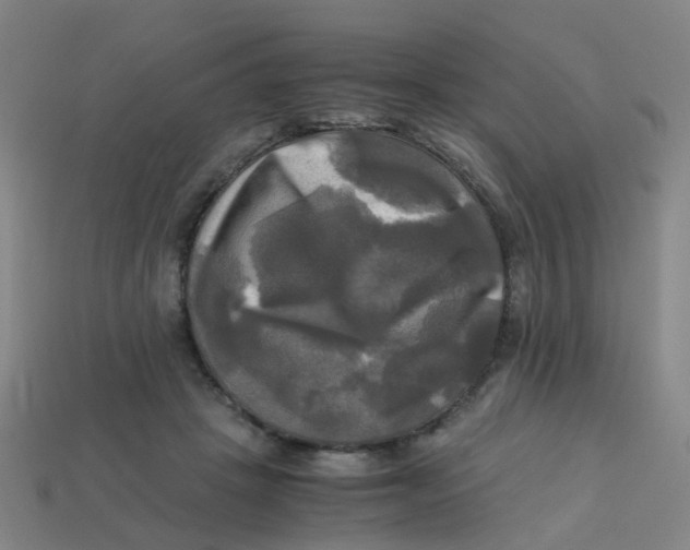 X0000113250457200910081322