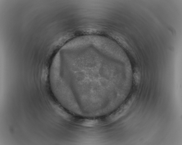 X0000113250458200910081322