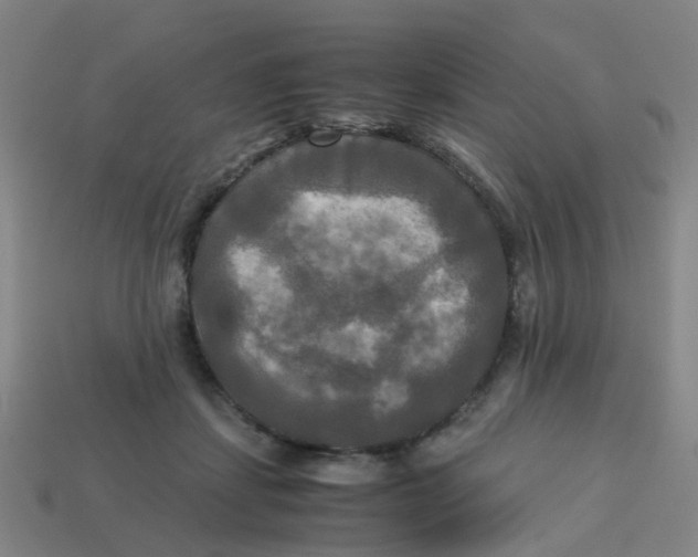 X0000113250459200910081322