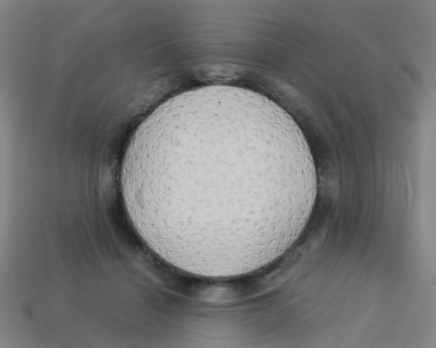 X0000113250460200910081322