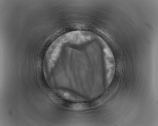 X0000113250461200910081322