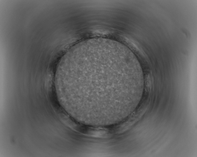 X0000113250463200910081322