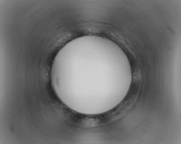 X0000113250464200910081322