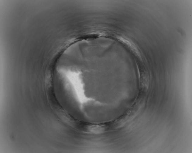 X0000113250465200910081322