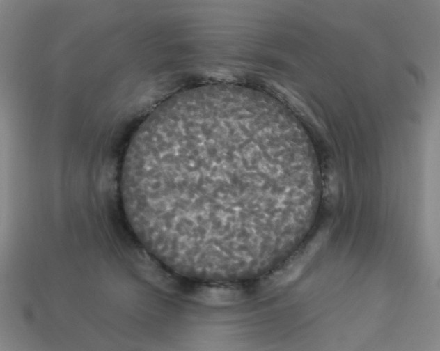 X0000113250466200910081322