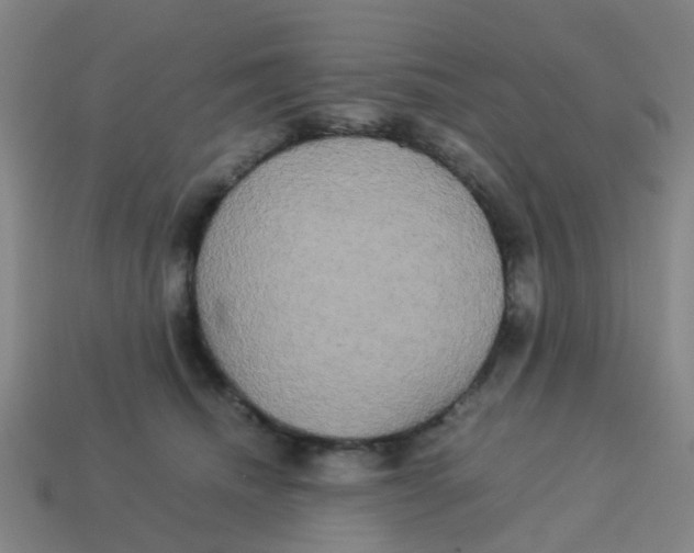 X0000113250468200910081322