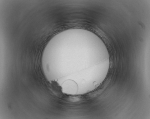 X0000113250469200910081322