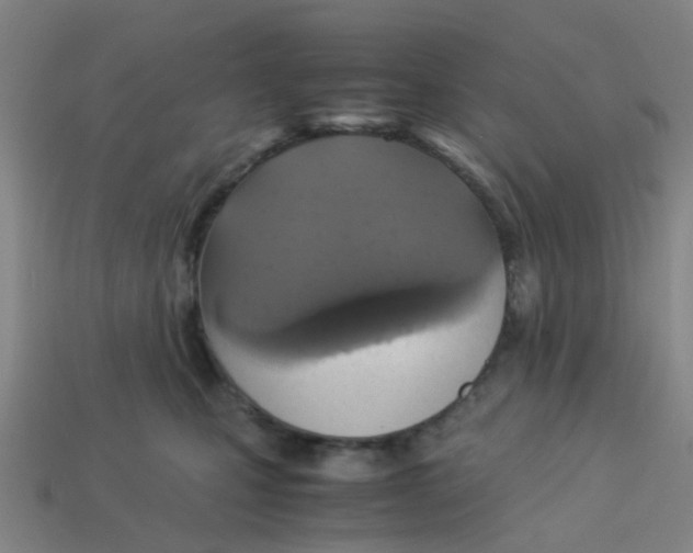 X0000113250471200910081322