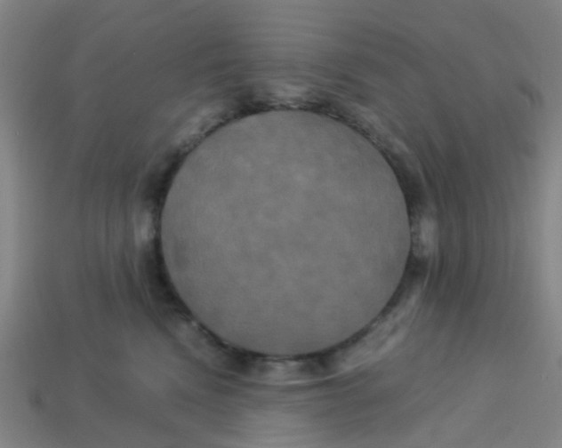 X0000113250472200910081322