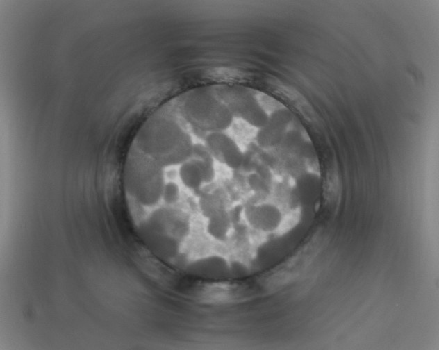 X0000113250473200910081322