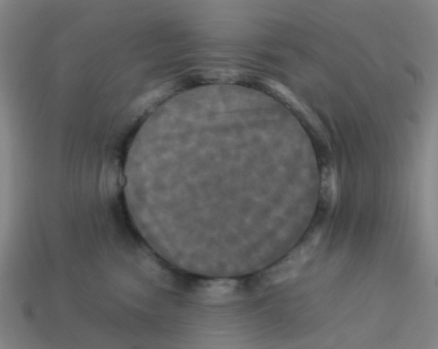 X0000113250474200910081322