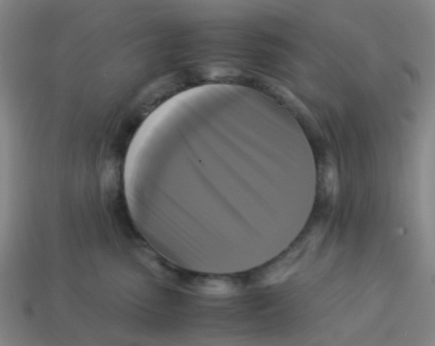 X0000113250475200910081322