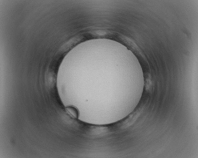 X0000113250476200910081322