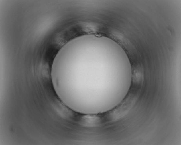 X0000113250477200910081322