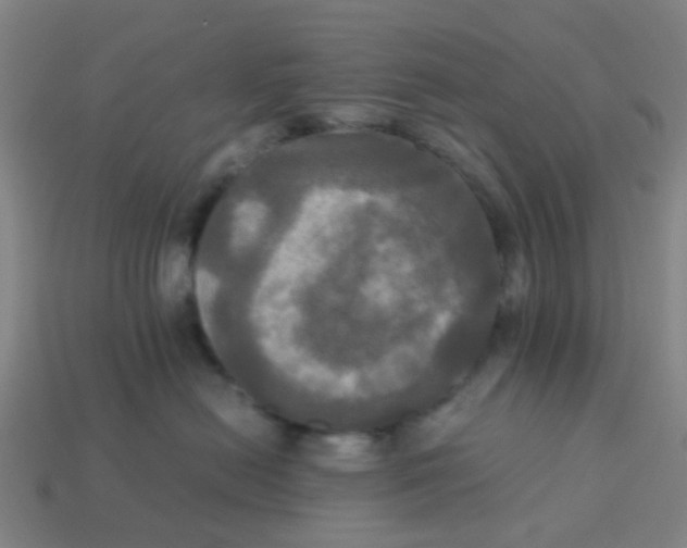 X0000113250478200910081322