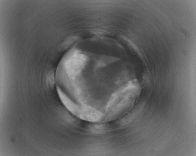 X0000113250479200910081322