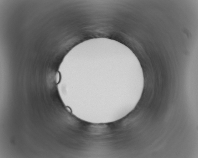 X0000113250480200910081322