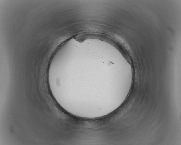 X0000113250481200910081322