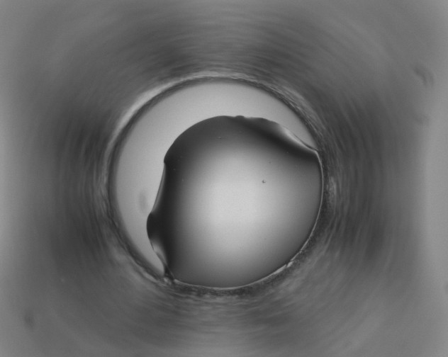 X0000113250484200910081322