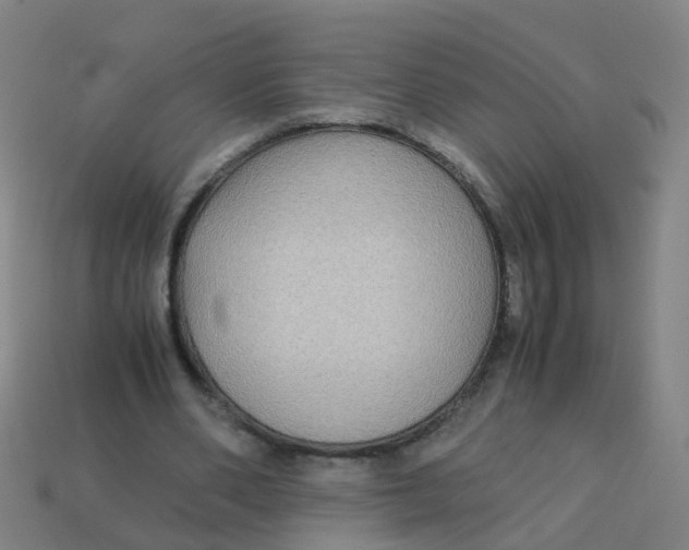 X0000113250486200910081322