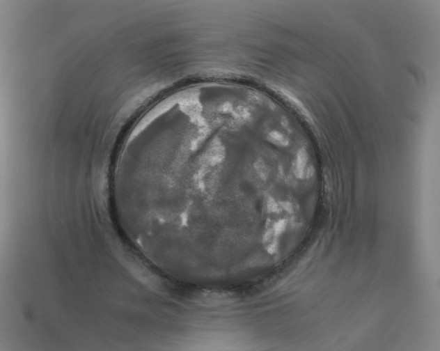 X0000113250487200910081322