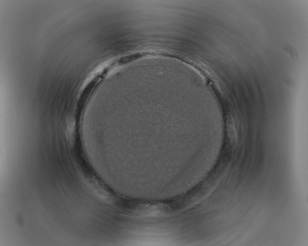 X0000113250488200910081321