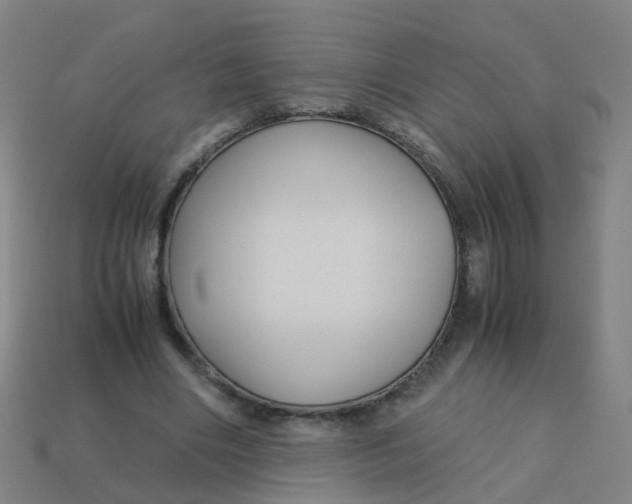 X0000113250490200910081321