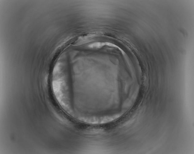 X0000113250491200910081321