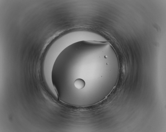 X0000113250492200910081321