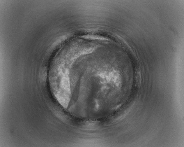 X0000113250495200910081321