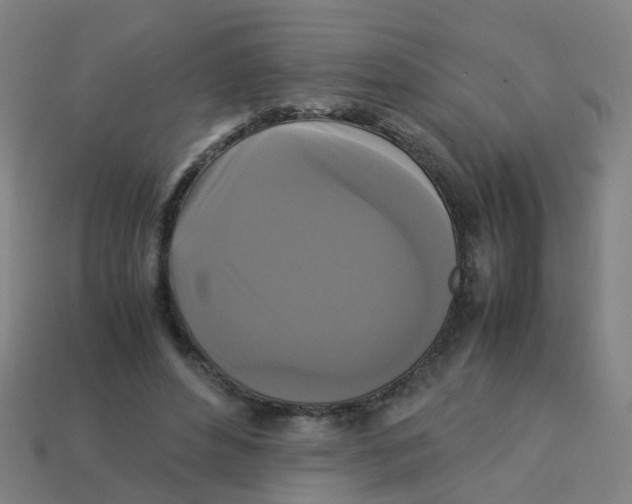 X0000113250496200910081321