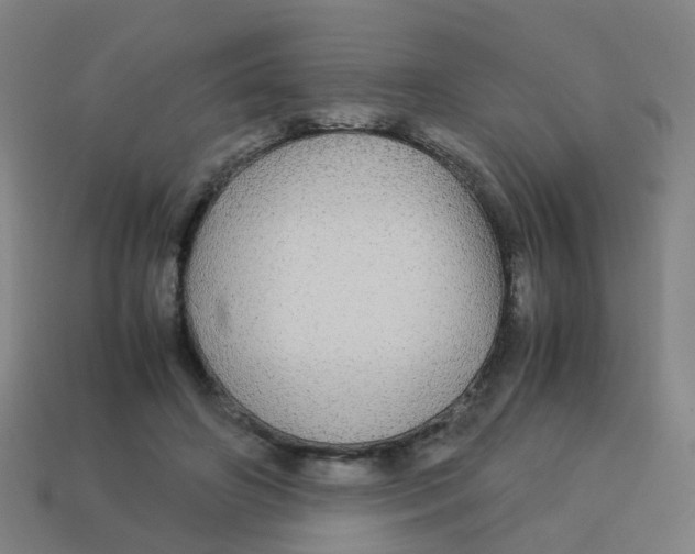 X0000113250498200910081321