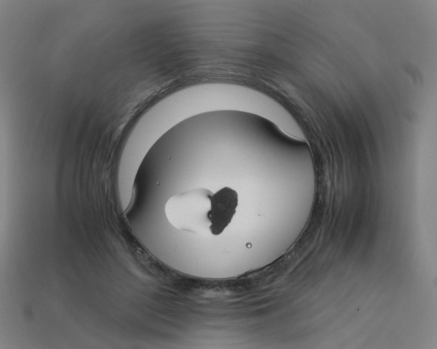 X0000113250500200910081321