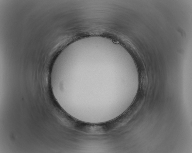 X0000113250501200910081321