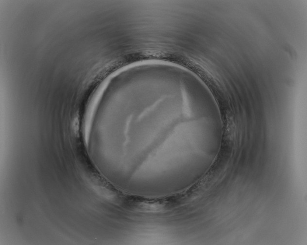 X0000113250502200910081321