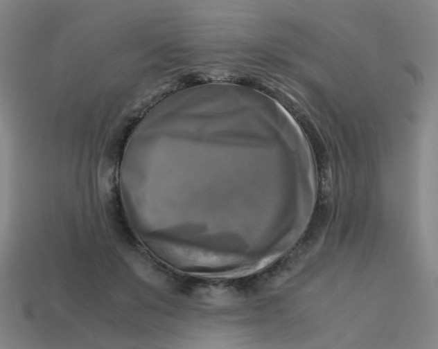 X0000113250503200910081321